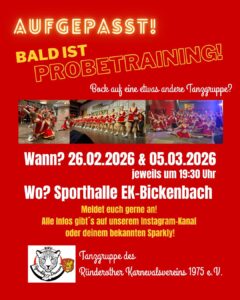 Read more about the article Probetraining der Sparkly Dancers